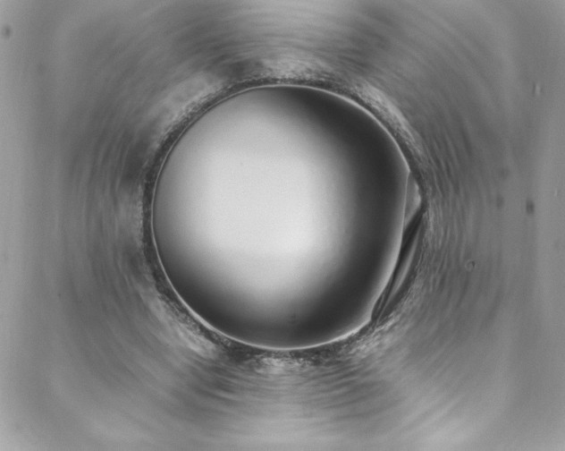 X0000088640442200705251501
