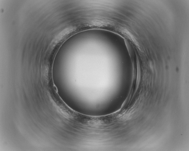 X0000088640444200705251502