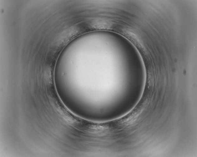 X0000088640453200705251502