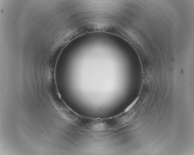 X0000088640456200705251502