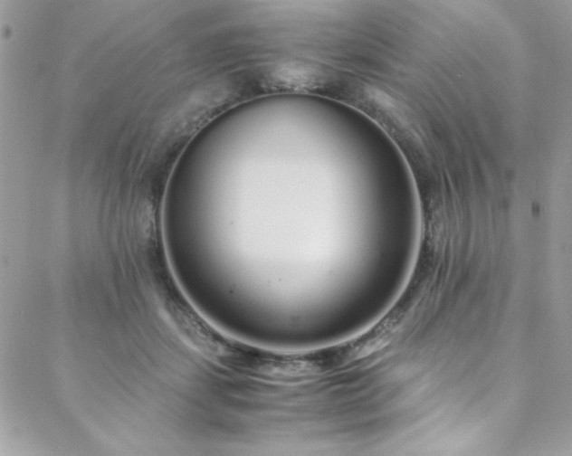 X0000088640459200705251502