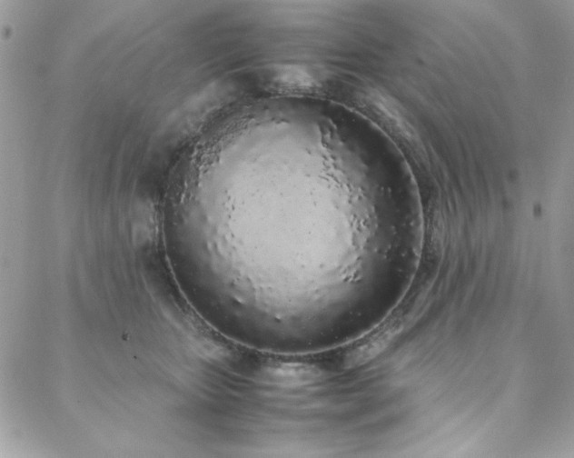 X0000088640467200705251502