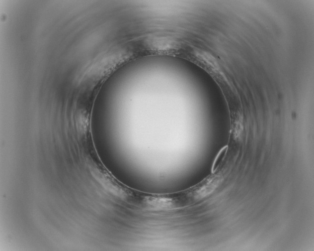 X0000088640476200705251502