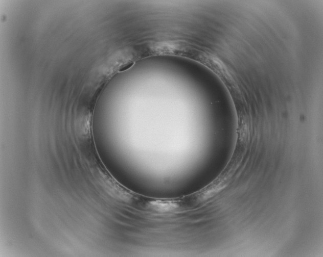 X0000088640477200705251502
