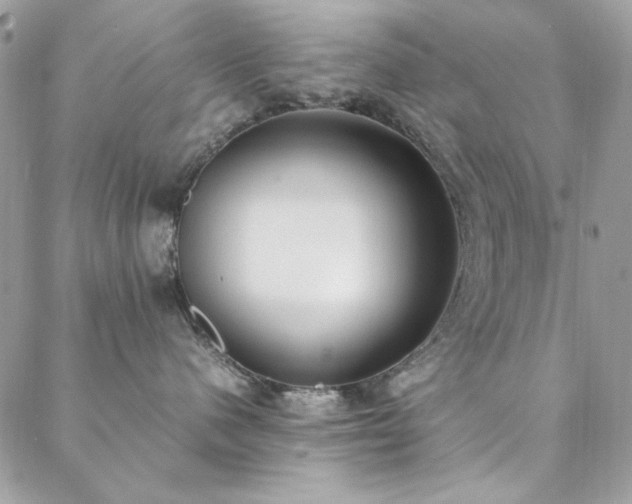 X0000088640480200705251502