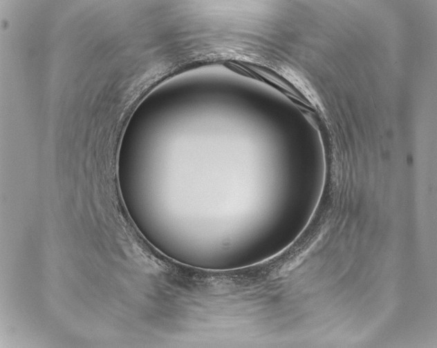 X0000088640481200705251501