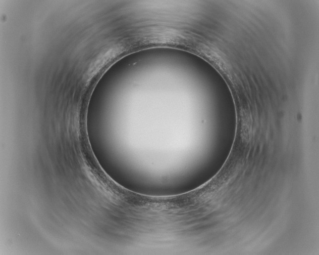 X0000088640482200705251501