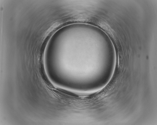 X0000088640483200705251501