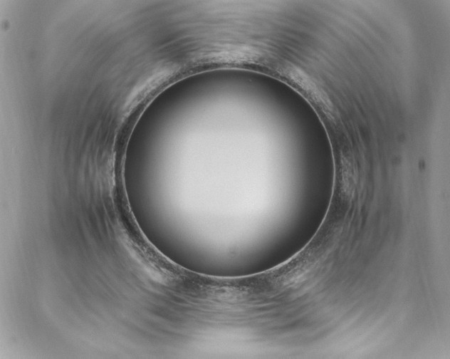 X0000088640486200705251501