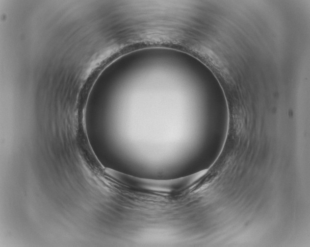 X0000088640488200705251501