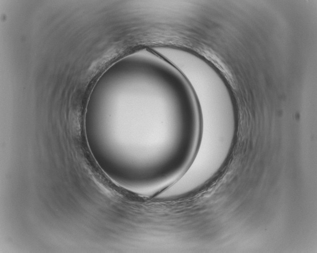 X0000088640489200705251501