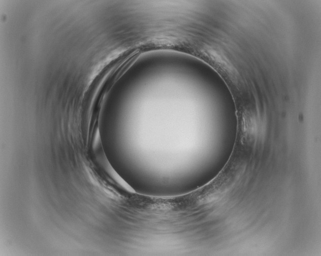 X0000088640492200705251501