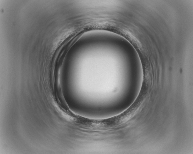 X0000088640493200705251501