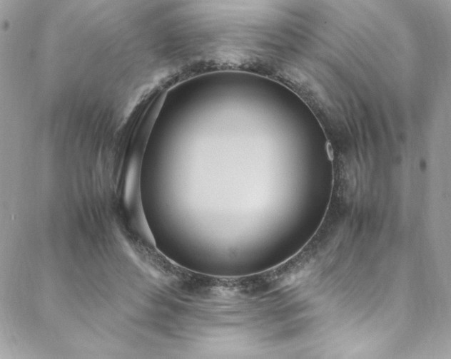 X0000088640496200705251501