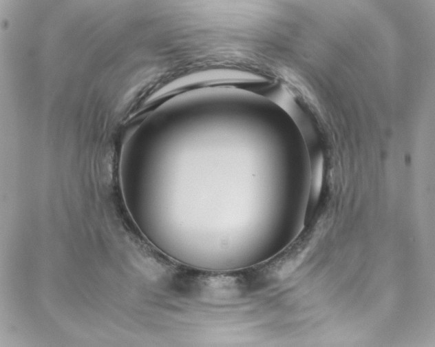X0000088640501200705251501