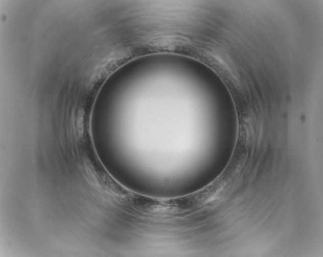 X0000088640504200705251501
