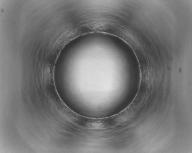 X0000088640506200705251501