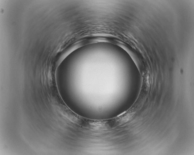 X0000088640516200705251501