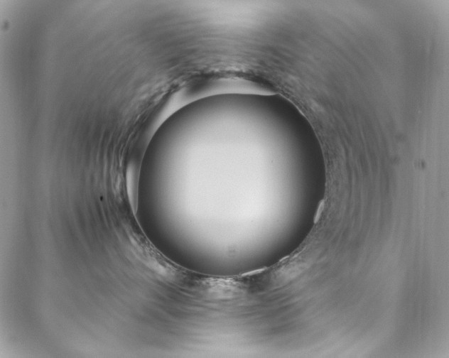 X0000088640528200705251501