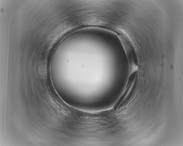 X0000088640531200705251500