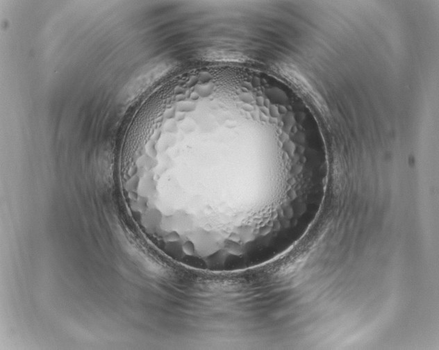 X0000088640533200705251500