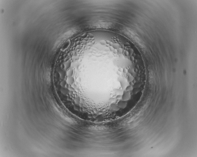 X0000088640537200705251500