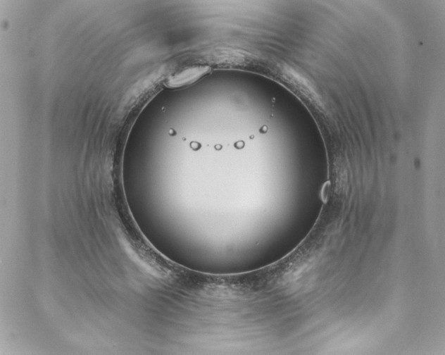 X0000088640538200705251500