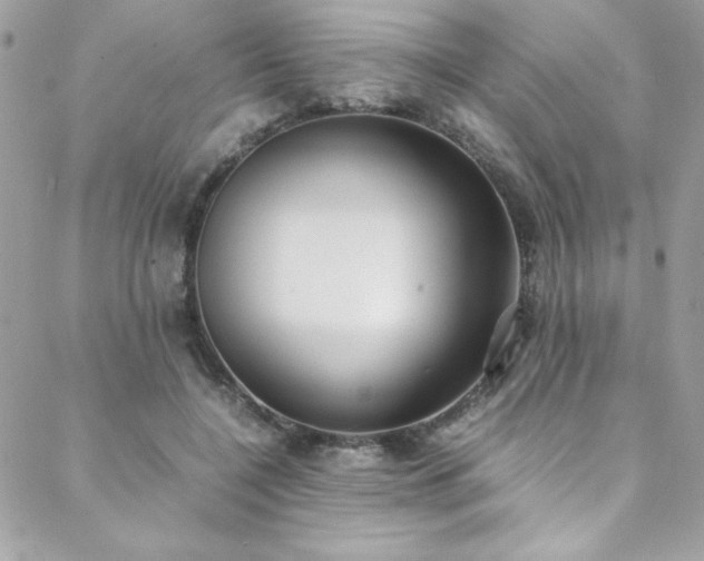 X0000088640548200705251500