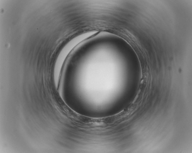 X0000088640552200705251500
