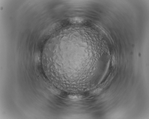 X0000088640561200705251500