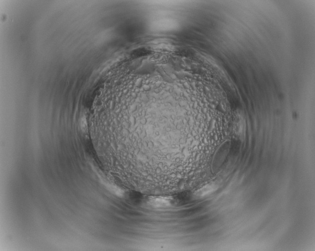 X0000088640573200705251500