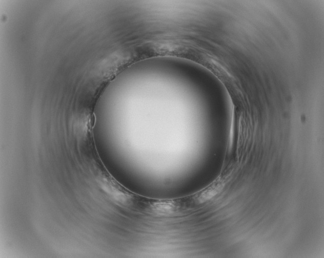 X0000088640574200705251501