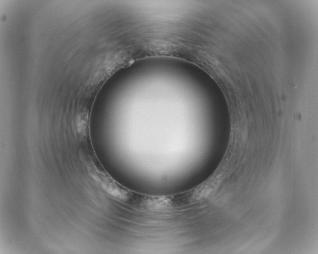 X0000088640576200705251501
