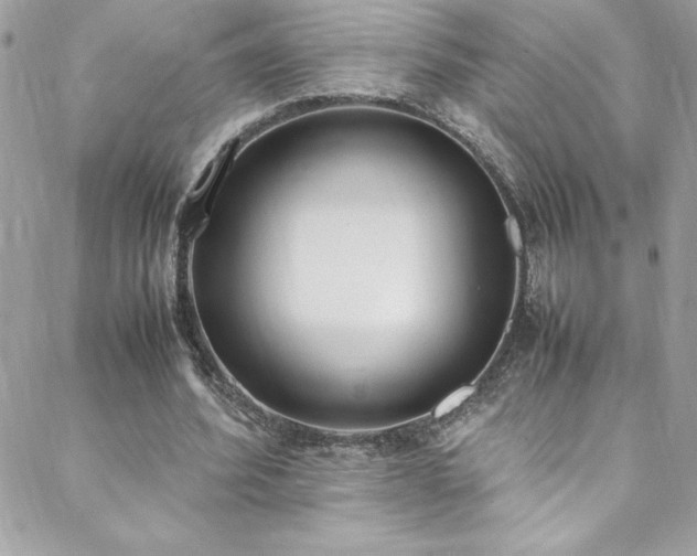 X0000088640580200705251500