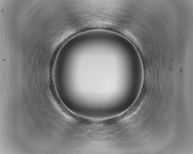 X0000088640581200705251500