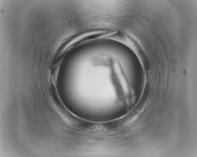 X0000088640589200705251500
