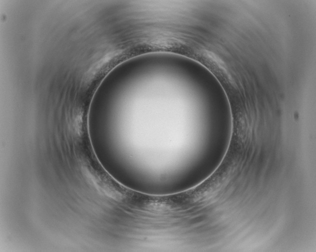 X0000088640596200705251459