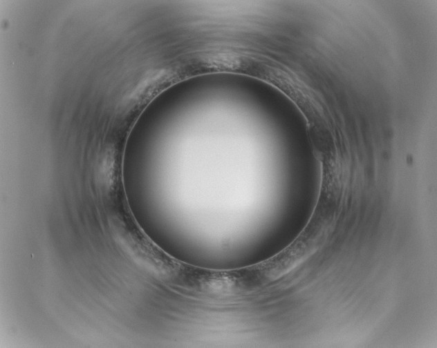 X0000088640600200705251459