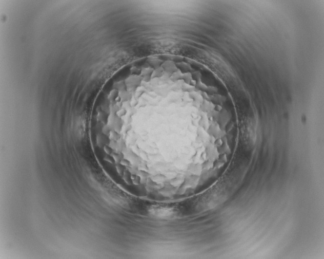 X0000088640602200705251459
