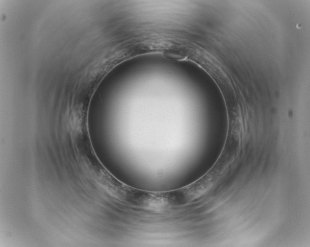 X0000088640604200705251459