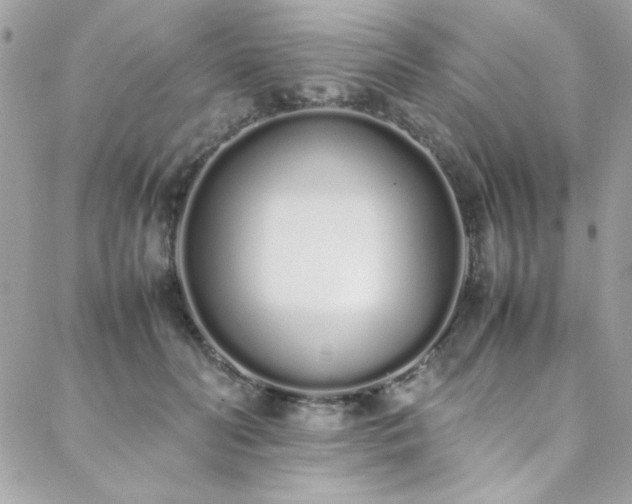 X0000088640606200705251459