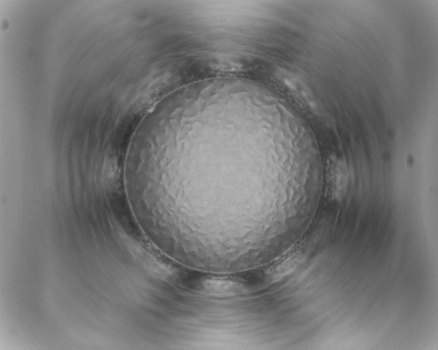 X0000088640614200705251459