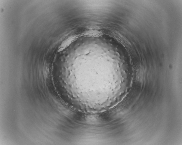 X0000088640618200705251459
