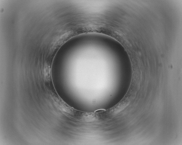 X0000088640624200705251459