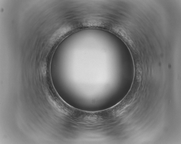 X0000088640631200705251458