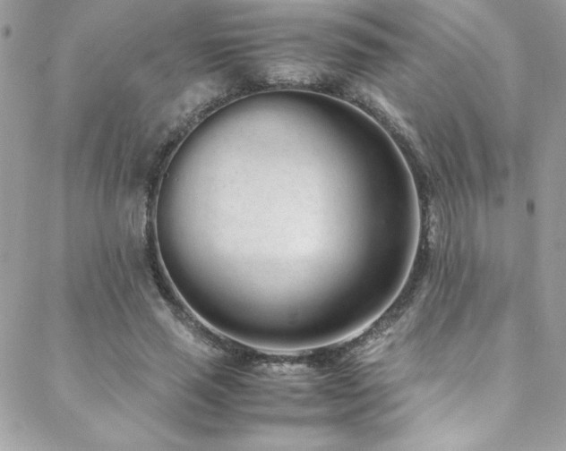 X0000088640637200705251458