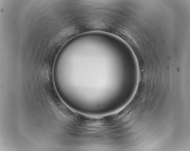 X0000088640643200705251458