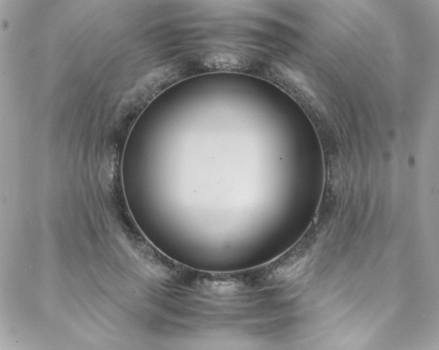 X0000088640645200705251459