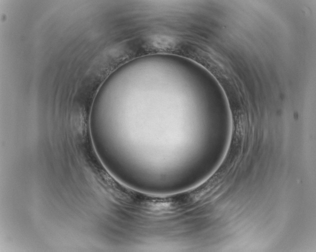 X0000088640651200705251459