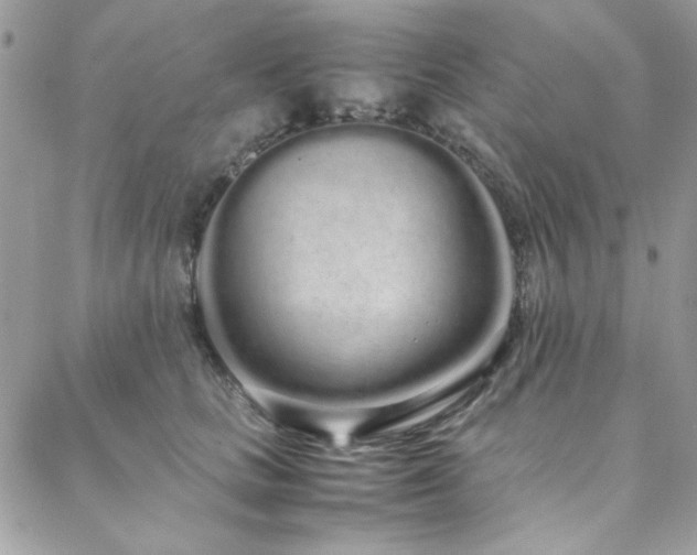 X0000088640661200705251459